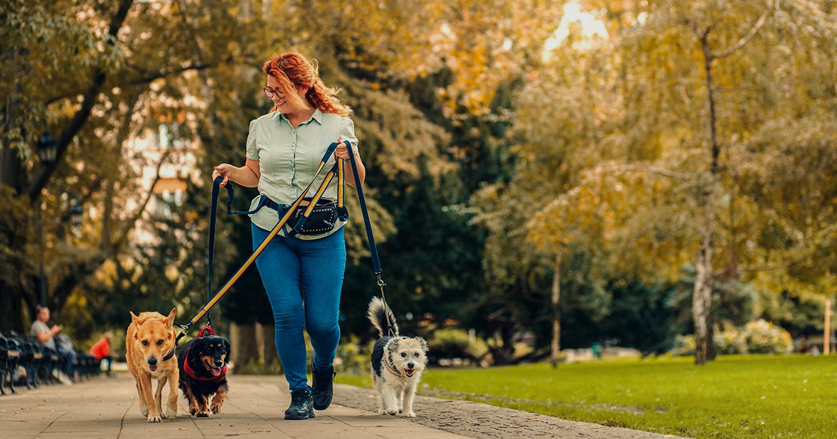 Fröhliche Spaziergänge und Heimaufenthalte Zuverlässige Hundeausführung und Haustierbetreuung